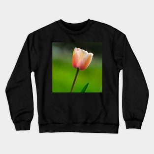 Pink Tulip Crewneck Sweatshirt